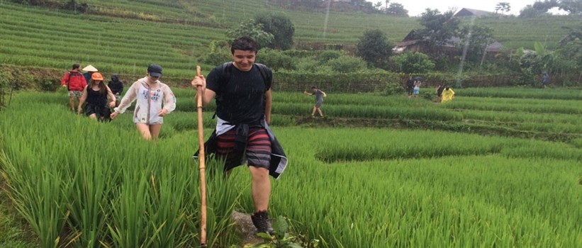 vietnam tours vietnam tours