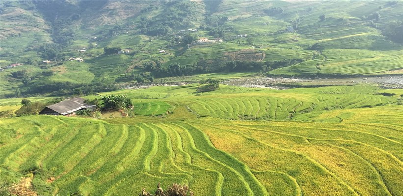 vietnam-visa-for-united-kingdom