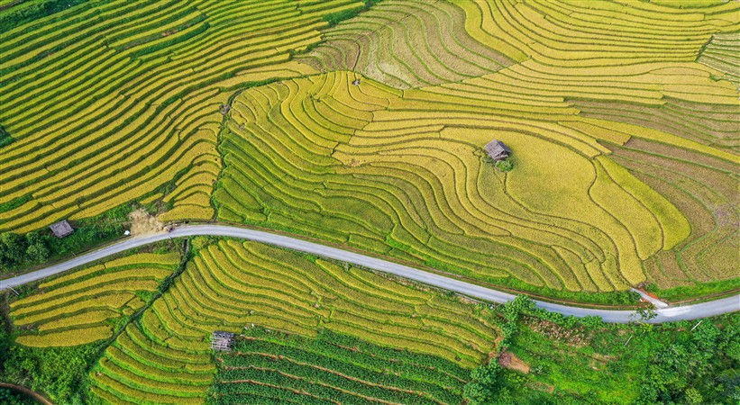 visa for vietnam