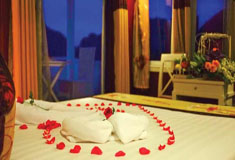 Halong Bay Tours