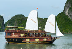 White Dolphin Cruise 