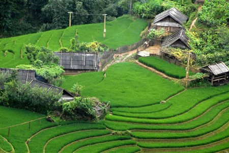 Vietnam tour package