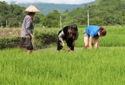 Sapa tour package