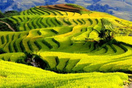 Vietnam vacation