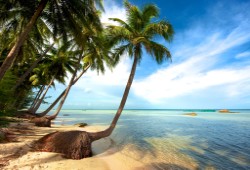Phu Quoc Island