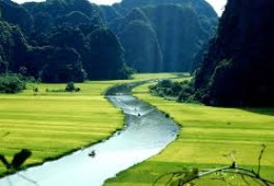 Tam Coc Tour