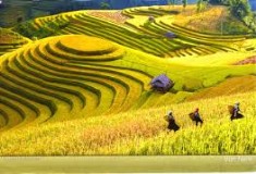 Vietnam holidays