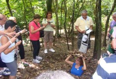 Cu Chi Tunnels tour