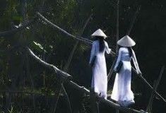 Mekong Tour in Depth